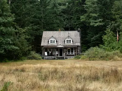 Hollyhock, a spacious woodland cabin nestled among towering trees, offering a serene escape into nature.